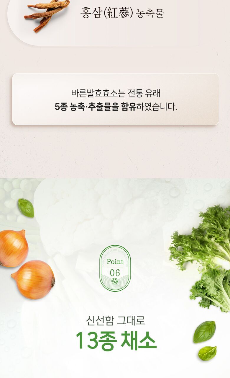 바른 발효효소 상세기술서15